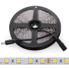 Tira LED 24V 300 LEDS 60W 10mm Ancho IP25 x 5 Metros