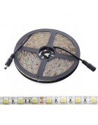 Tira LED 24V 300 LEDS 60W 10mm Ancho IP65 x 5 Metros