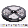 Tira LED 24V 300 LEDS 60W RGB+Blanco 12mm Ancho IP20 x 5 Metros