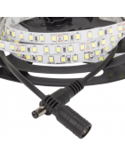 Tira LED 24V 600 LEDS 60W 8mm Ancho IP25 x 5 Metros