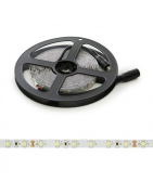 Tira LED 24V 300 LEDS 40W 8mm Ancho IP25 x 5 Metros