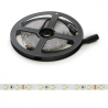 Tira LED 24V 300 LEDS 40W 8mm Ancho IP25 x 5 Metros