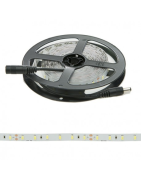 Tira LED 24V 300 LEDS 40W 8mm Ancho IP25 x 5 Metros