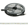 Tira LED 24V 300 LEDS 40W 8mm Ancho IP25 x 5 Metros