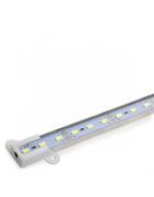 Tira LED 12V 72 LEDS 12W 10mm Ancho IP25 x 1 Metros