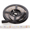 Kit Tira 300 LED 24W Blanco Frío Blister Transformador IP25