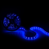 Tira 300 LED 72W RGB IP33 Transformador/Controlador